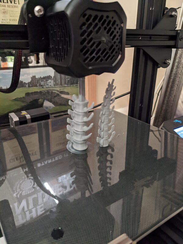 A 3D printer mid-print on two T-rex spine sections