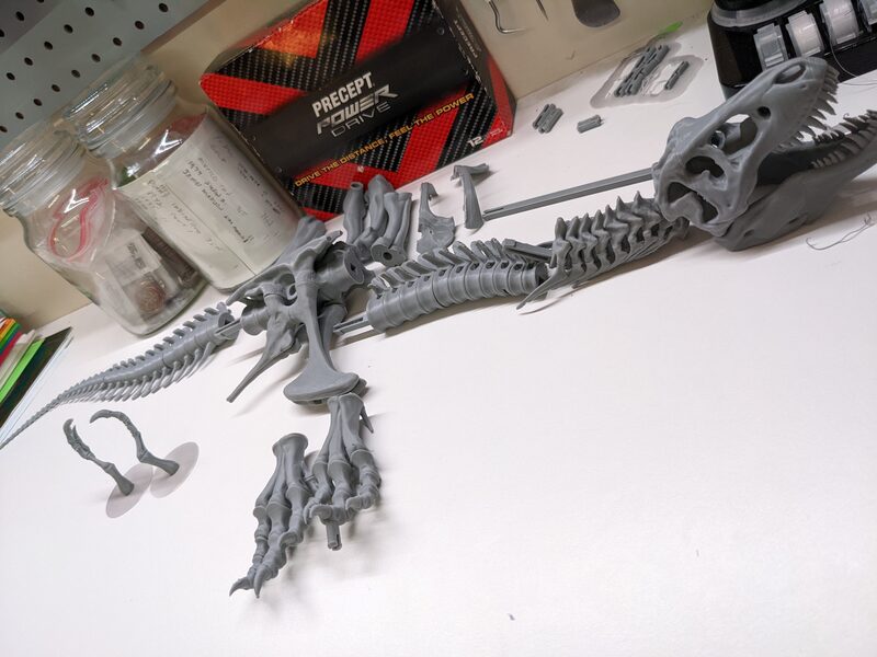 The T-rex skeleton partway through assembly, skull and spine attached, feet and tail laid out nearby