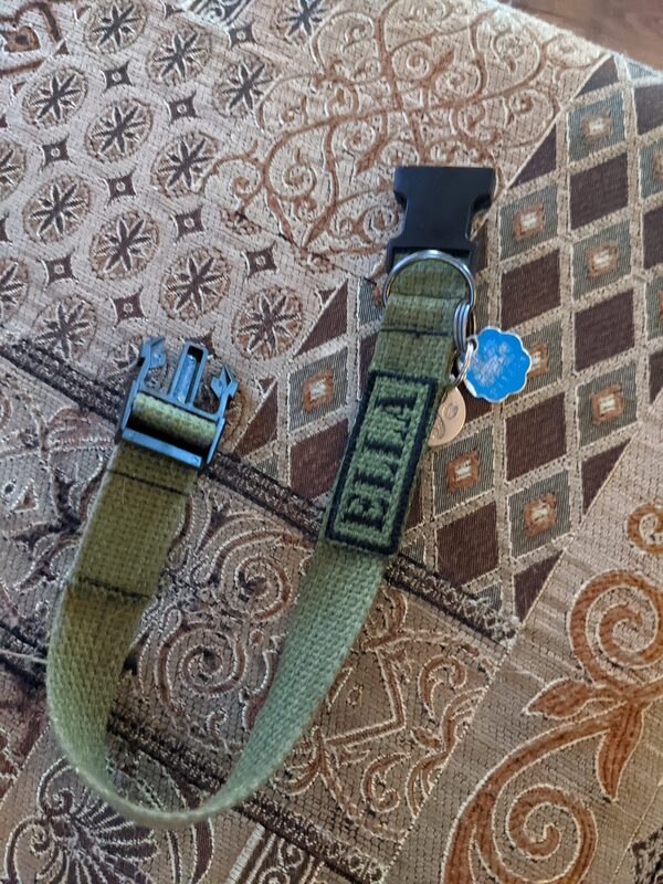 An embroidered name tag reading ELLA on a dog collar