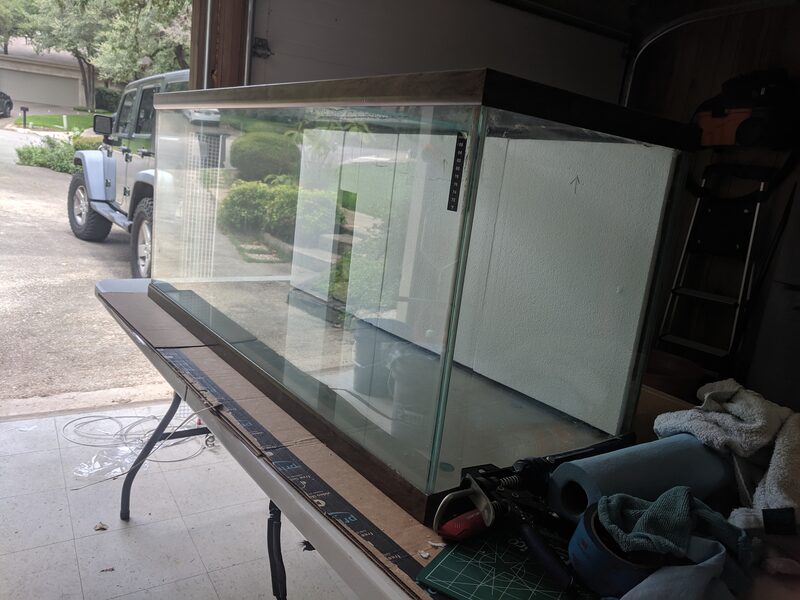 Paludarium build