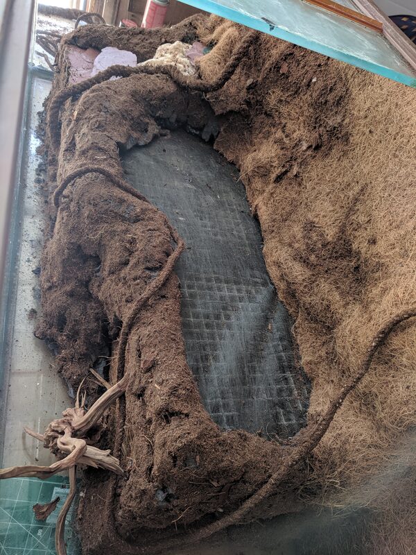 The tank walls covered in a textured coco-fiber background, carved into a basin shape with driftwood worked in